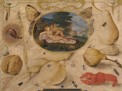 "Venus ontwapent Amor" in een medaillon omgeven door planten, vruchten, insecten en schelpdieren door Joris Hoefnagel