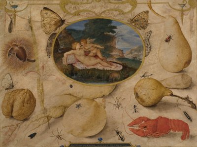 Venus ontwapent Amor in een medaillon omringd door planten, vruchten, insecten en schelpdieren (c. 1595) door Joris Hoefnagel