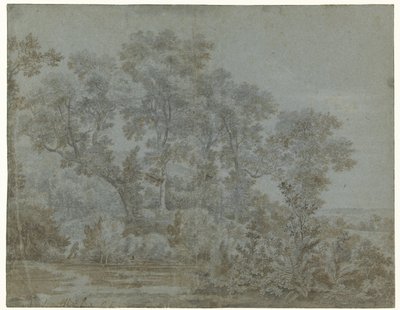 De Wildbaan bij Arnhem door Joris van der Haagen