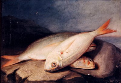 Spaans: Bodegón de peces door José Arias Ramírez