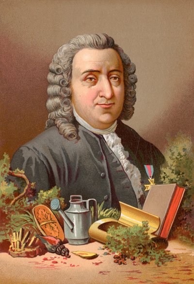 Carl Linnaeus door Jose Armet Portanell