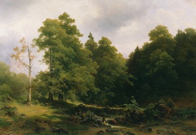 De stille boshoek door Josef Holzer