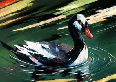 Dieren: zwarte zwaan 1 door Josef Johann Michel
