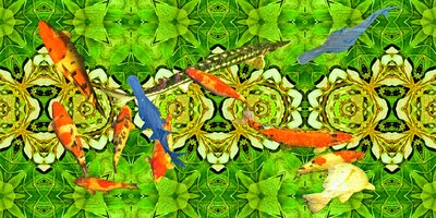 Wezens: Koi-karpers onder water tuin 3 door Josef Johann Michel