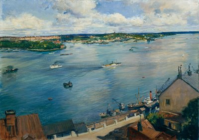 Stockholm door Josef Jungwirth