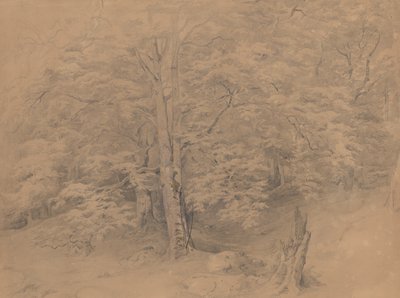  door Josef Kriehuber