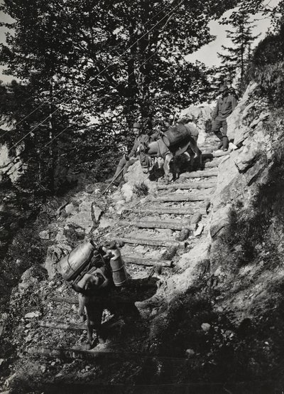 Album "Meine weltkriegs - Erinnerungen South-West Front (Karinthië, Italië, Zuid-Tirol) 31/03/1915-12/11/1918 - Josef Zohles Wien": leger muilezels langs een steile helling door Josef Zohles