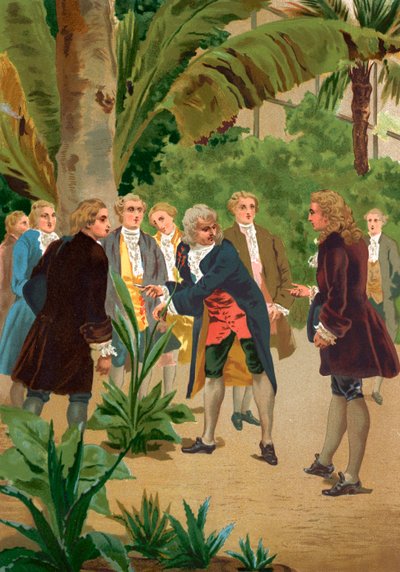 Carl Linnaeus door Josep or Jose Planella Coromina