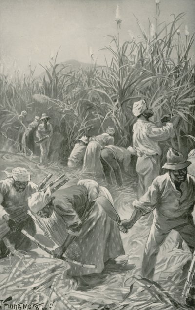 Zwarte aan het werk op een suikerrietplantage in Jamaica door Joseph (after) Finnemore