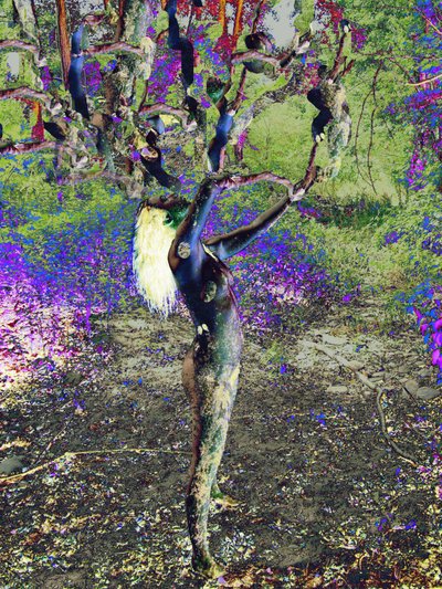 Blauwe boom door Joseph Angilella Auquier