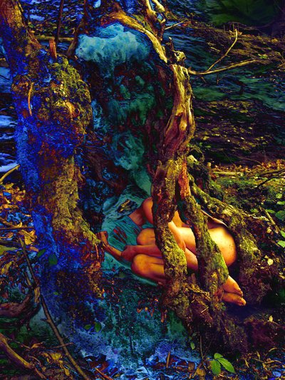 In de boom door Joseph Angilella Auquier