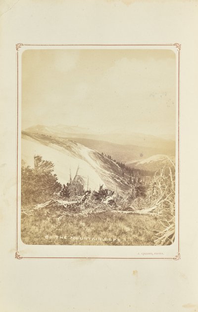 Op de bergtoppen door Joseph Collier