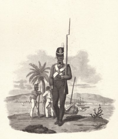 Een soldaat van het 5e West-Indische Regiment, ca. 1812 door Joseph Constantine Stadler