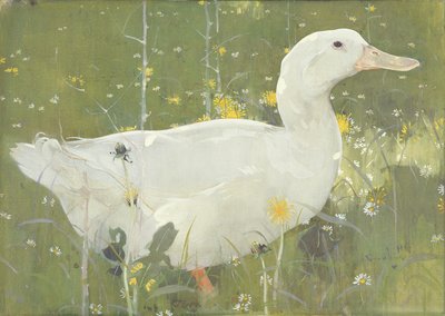 De Witte Drake door Joseph Crawhall