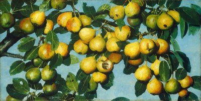 Rijpe Peren door Joseph Decker