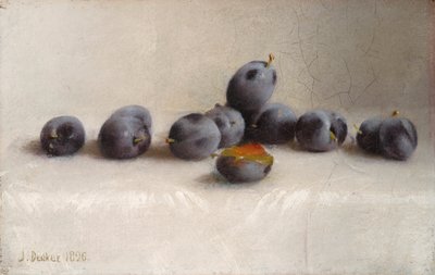 Twaalf Pruimen door Joseph Decker