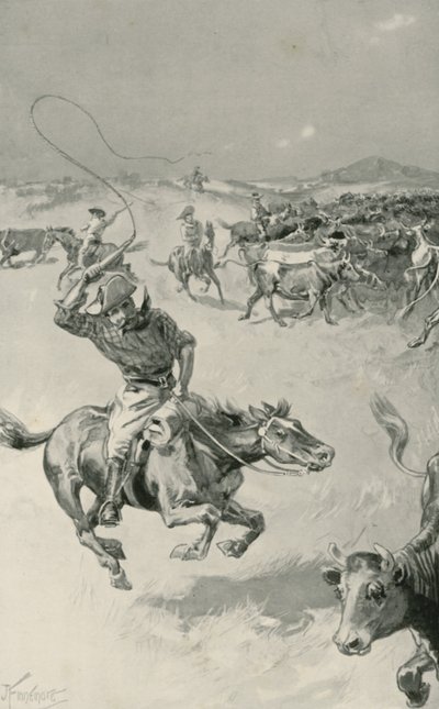 Veedrijven in Queensland door Joseph Finnemore