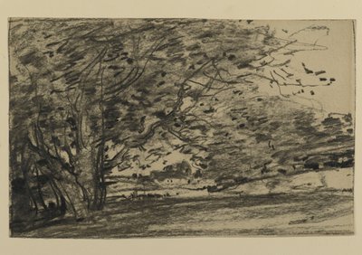 Studie van bomen, 1870 door Joseph Frank Currier