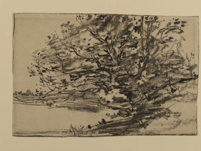 Studie van bomen, 1870 door Joseph Frank Currier