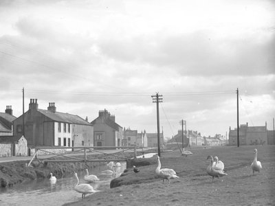 Straat in Allonby met zwanen en stroompje door Joseph Hardman