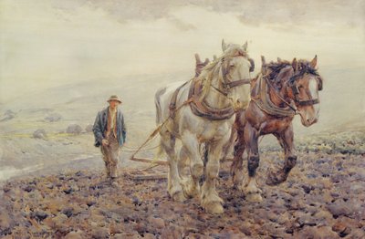 Eggen op de South Downs bij Willmington, Sussex door Joseph Harold Swanwick