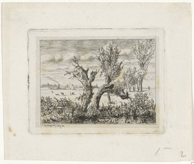 Landschap met knotwilgen door Joseph Hartogensis