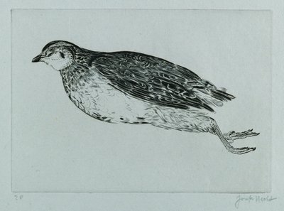 Dode patrijs (La Perdrix) (gravure) door Joseph Hecht