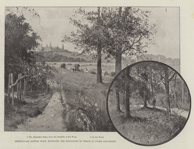 Churchyard Bottom Wood, Highgate, de Verwoesting die Onder Discussie Staat door Joseph Holland Tringham