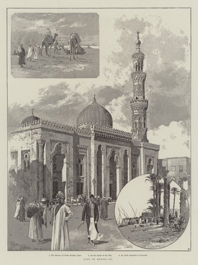 Leven in Egypte door Joseph Holland Tringham