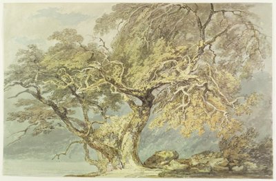 Een grote boom, c.1796 door Joseph Mallord William Turner