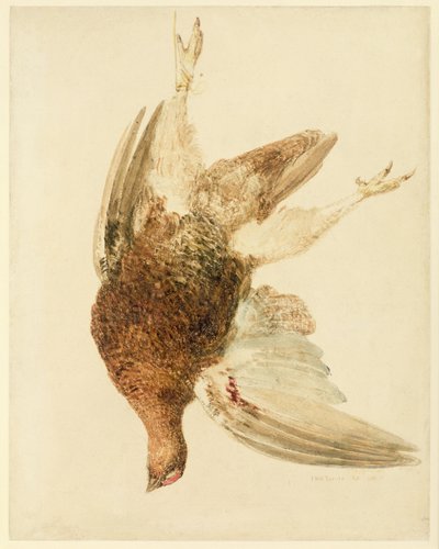 Korhoen, uit Het Farnley Boek van Vogels door Joseph Mallord William Turner