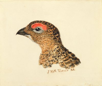 Hoofd van Korhoen, uit Het Farnley Boek van Vogels, c.1816 door Joseph Mallord William Turner