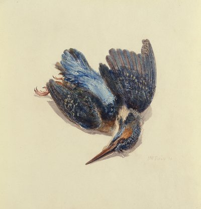 IJsvogel, uit Het Farnley Boek van Vogels, ca. 1816 door Joseph Mallord William Turner
