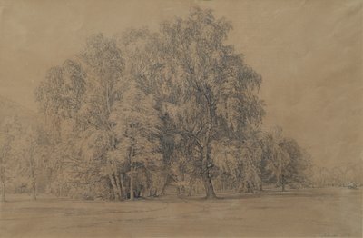 Berkengroep in het park van kasteel Seebenstein in Neder-Oostenrijk door Joseph Martin Höger