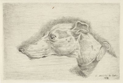 Kop van een hazewindhond door Joseph Mendes da Costa