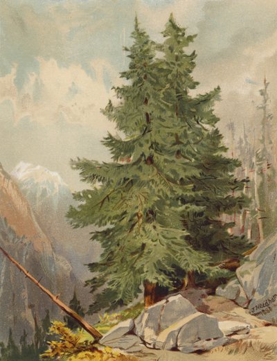 De Lariks, Alpenlandschap door Joseph Needham