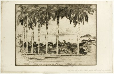 Bishops Walk, Ancon Hill, Panama door Joseph Pennell