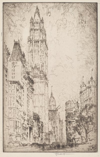 Het Woolworth-gebouw door Joseph Pennell