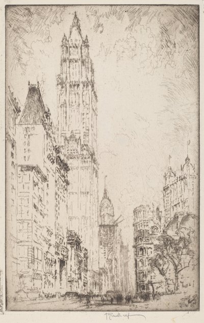 Het Woolworth-gebouw door Joseph Pennell