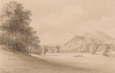 Kasteel Dunster, Somerset: Kasteel in de verte door Joseph Powell