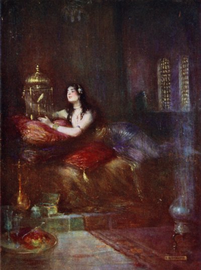 De sultana en haar kanarie door Joseph Ratcliffe Skelton