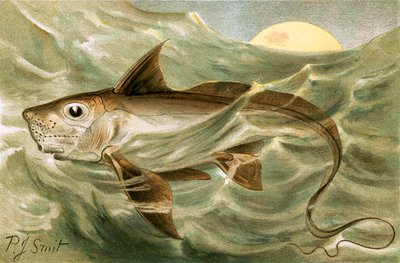 Chimaera door Joseph Smit