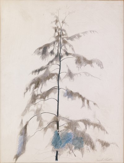 Dennenboom door Joseph Stella