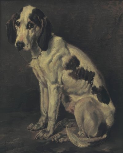 De oude teef door Joseph Stevens