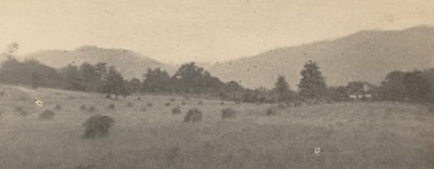 Landschap met bomen en bergen,c. 1900 (foto) door Joseph T. Keiley