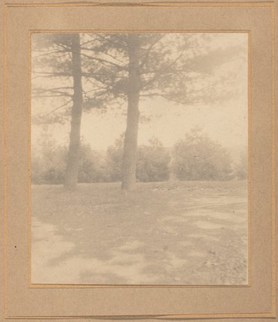 Landschap met bomen, ca. 1900 door Joseph Turner Keiley