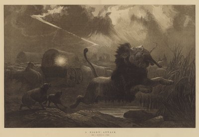 Een Nachtelijke Aanval door Joseph Wolf