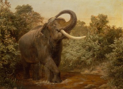 De Monster Olifant door Joseph Wolf