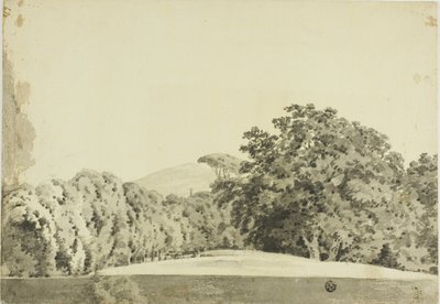 Bosrijk landschap door Joseph Wright of Derby