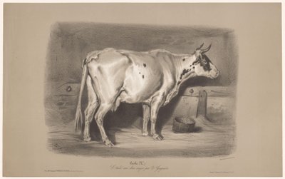 Koe in een stal door Joseph Zephyris Gengembre